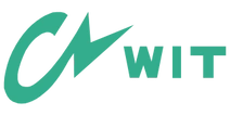 WIT México productos y soluciones